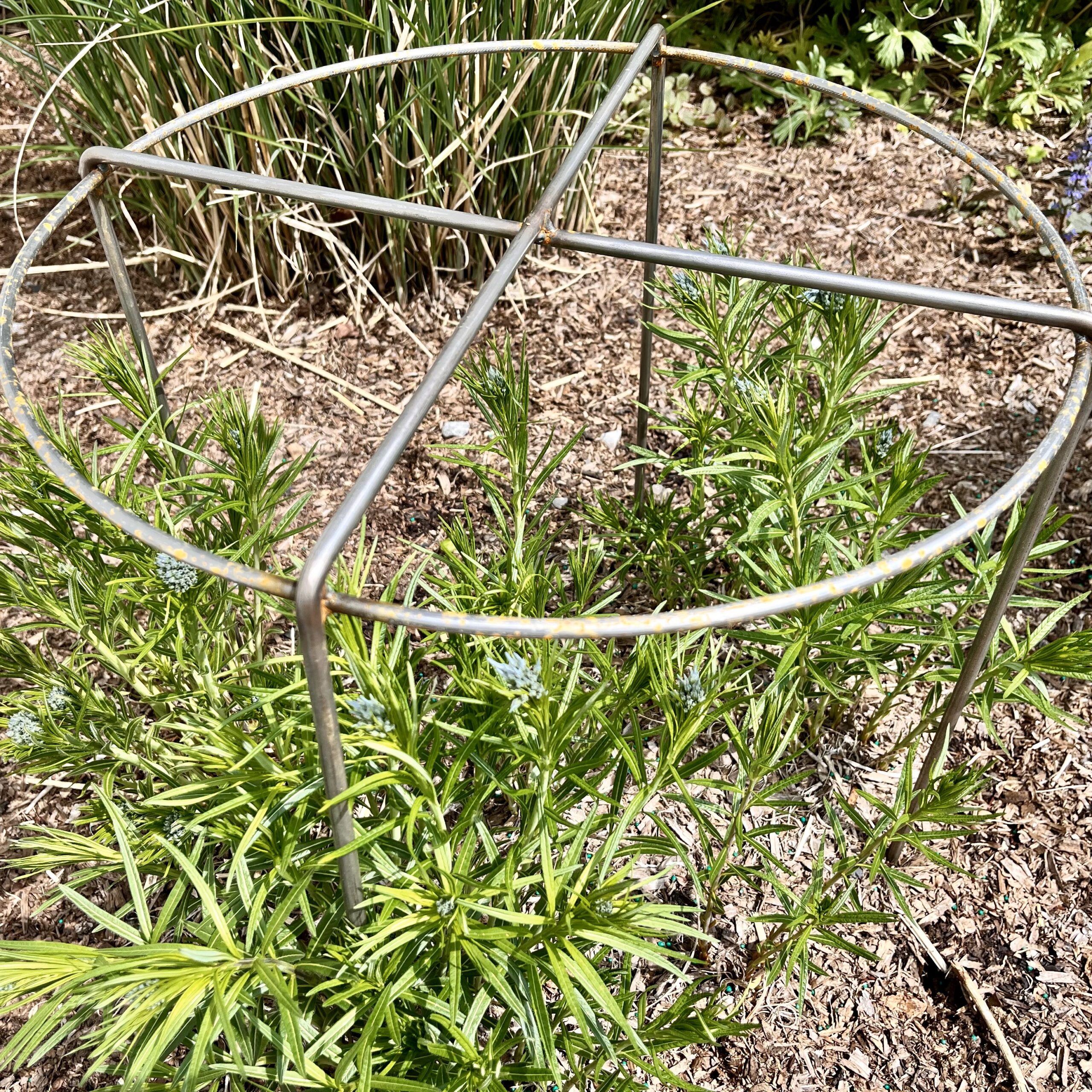 20240508_182409581_iOS 20240508 182409581 iOS scaled