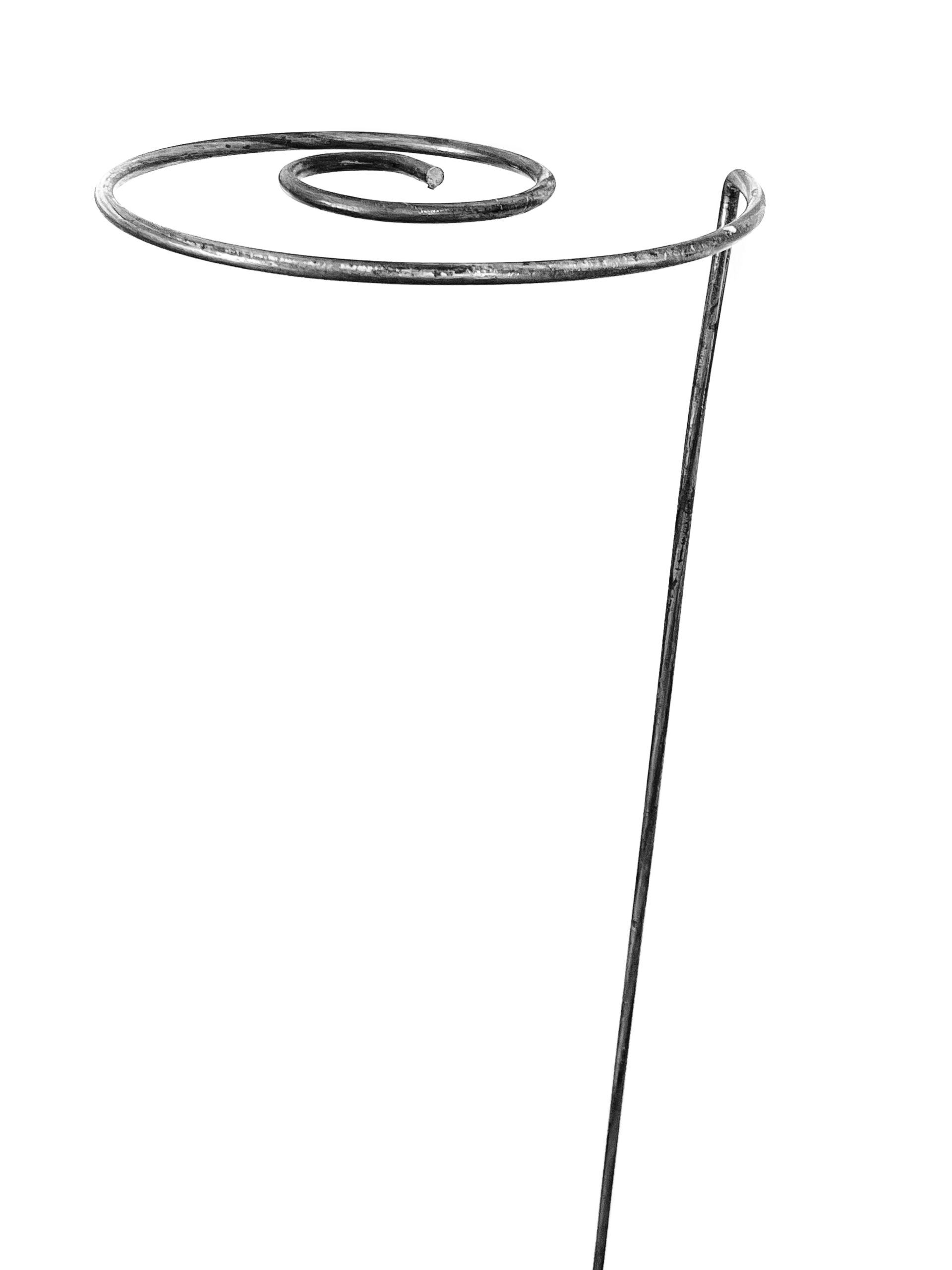 20240518_124008767_iOS 20240518 124008767 iOS scaled