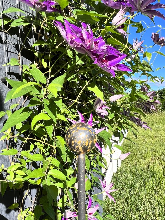 BallToppedPlant Stake BallToppedPlant Stake