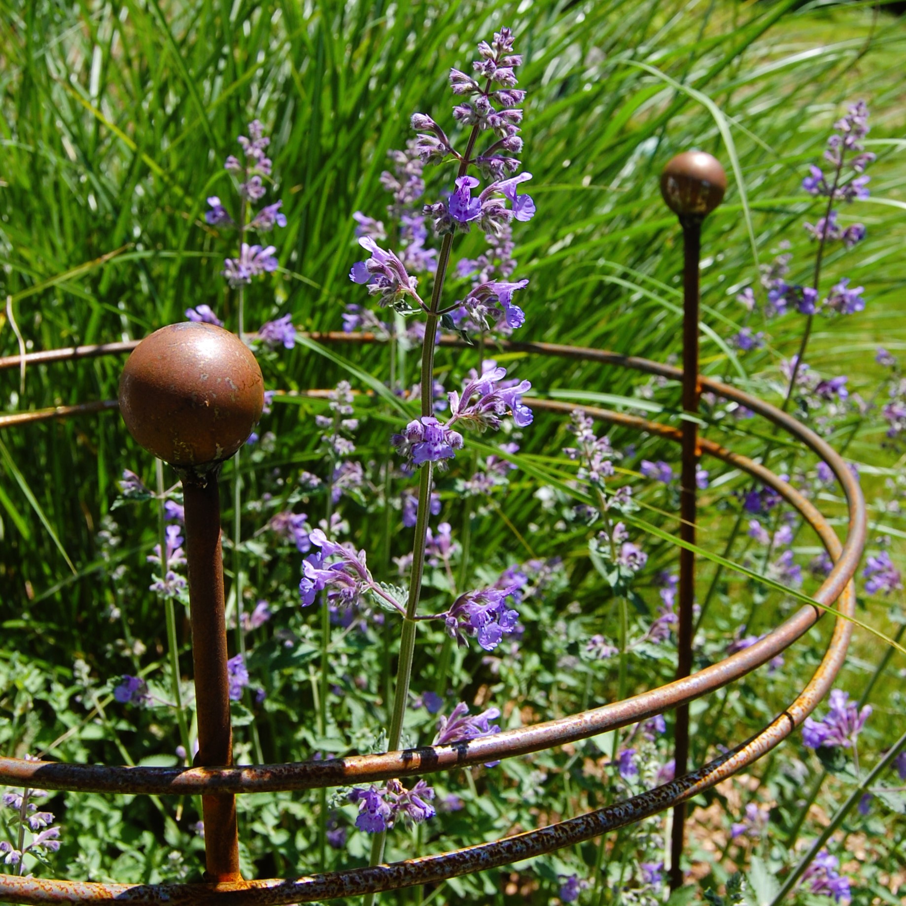 Double Ring Support_1 Double Ring Support 1