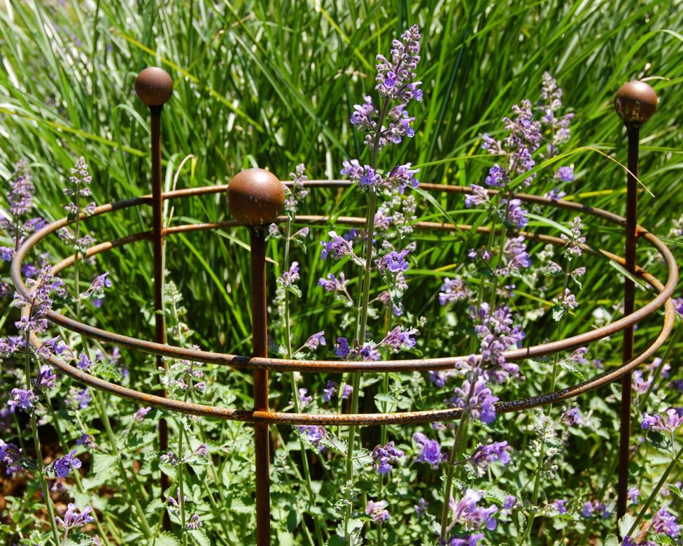 Double Ring Support_2 Double Ring Support 2 1