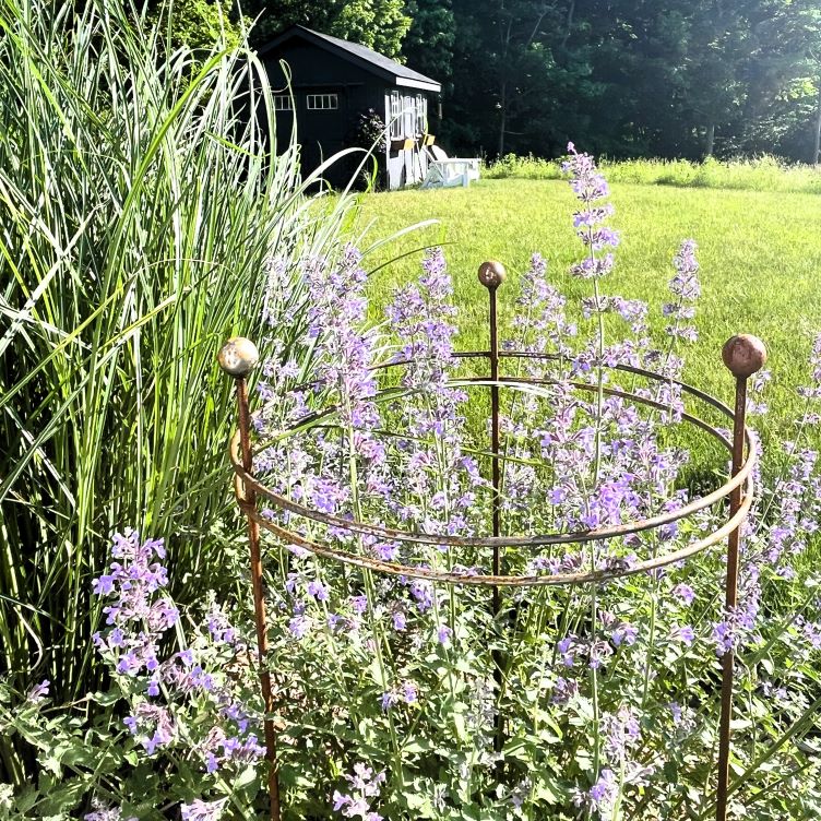 Double Ring Support_6 Double Ring Support 6