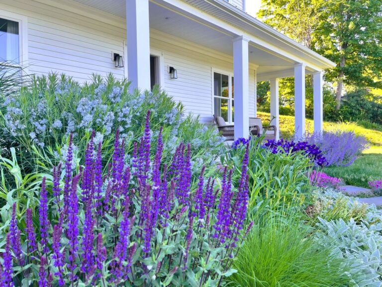 GardenBedsinSpring