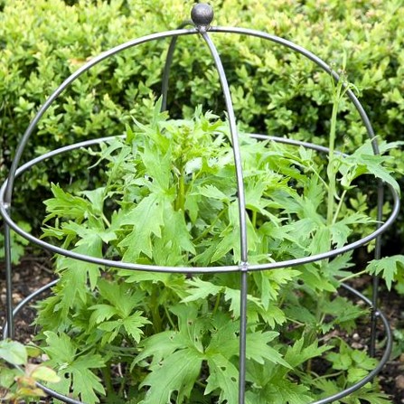 Sphere Top Dome-Small Sphere Top Dome Small