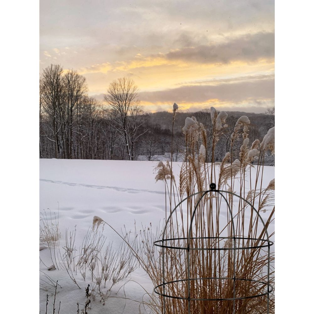 Sphere Top Dome Sphere Top Dome