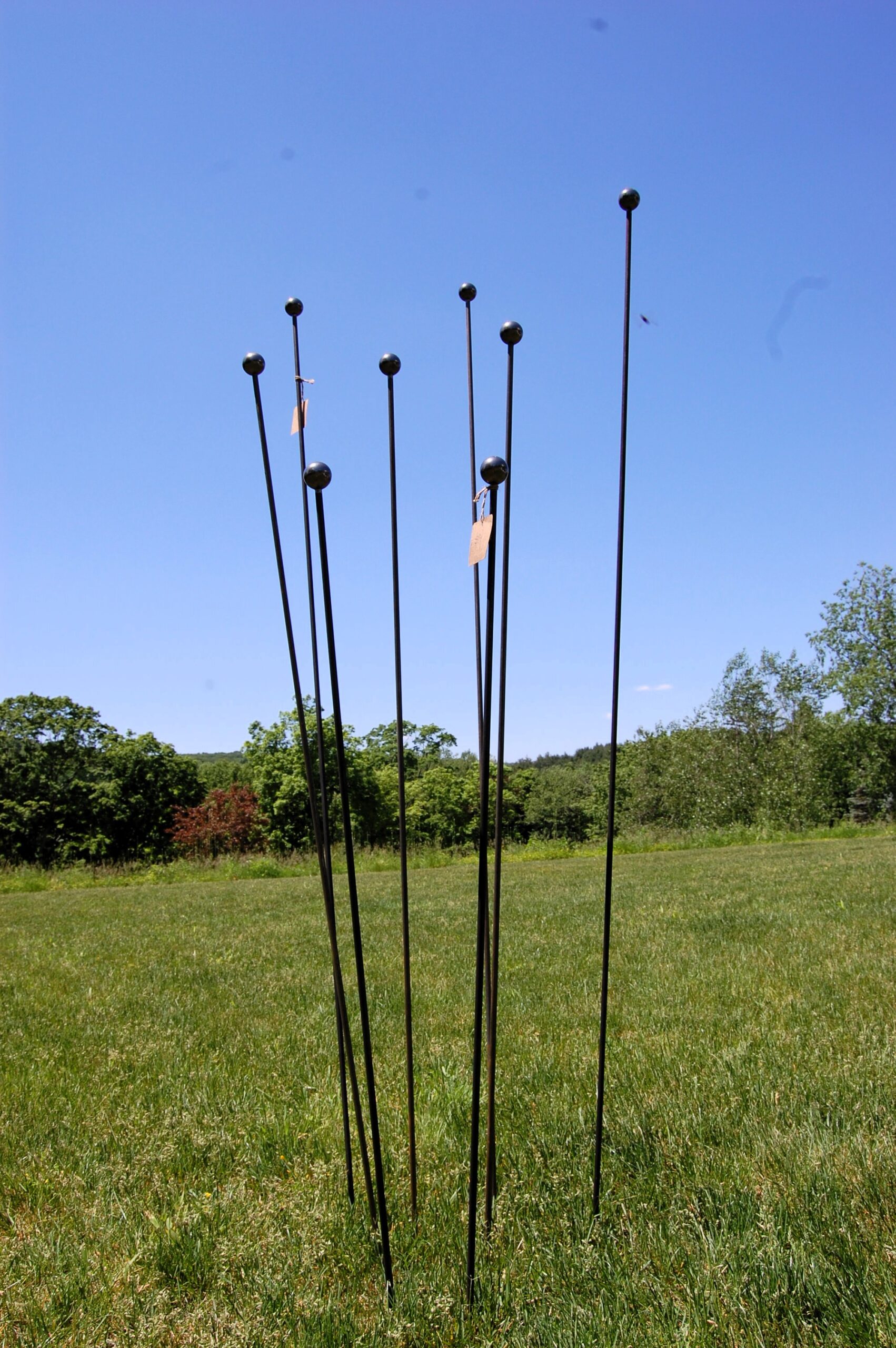 Stakes_6 Stakes 6 scaled